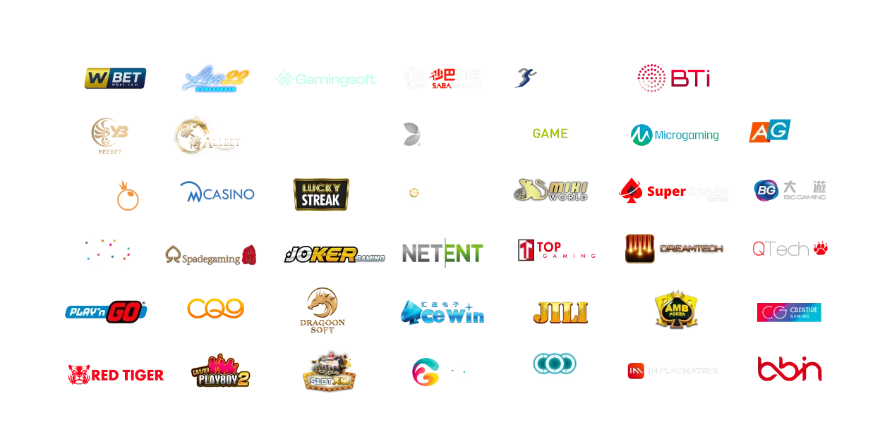 Providers in Gamingsoft